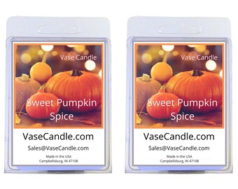 Sweet Pumpkin Spice Vase Candle Melts - A blend of sweet spices and pumpkin | Fresh Made to Order | 2 Packages of 2.8 oz Melts/Tarts