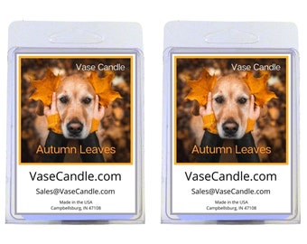 Autumn Leaves Vase Candle Melts - A fall blend of spices, berries, and citrus | Fresh Made to Order | 2 Packages of 2.8 oz Melts/Tarts