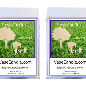 Fresh Cut Grass Vase Candle Melts - The fresh aroma of freshly cut green grass | Fresh Made to Order | 2 Packages of 2.8 oz Melts/Tarts