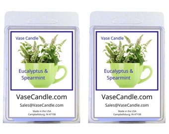 Eucalyptus & Spearmint Vase Candle Melts - A minty scent with hints of eucalyptus | Fresh Made to Order | 2 Packages of 2.8 oz Melts/Tarts