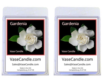 Gardenia Vase Candle Melts - Gardenia Flowers | Fresh Made to Order | 2 Packages of 2.8 oz Melts/Tarts