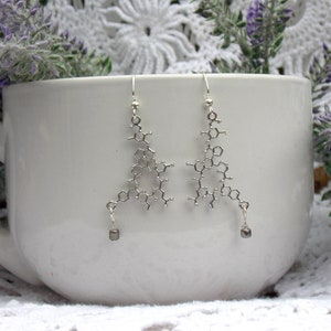 Oxytocin Molecule Earrings - Molecule Earrings - Science Gifts - Science Earrings - Science Art - Love Earrings - Science Teacher Gift