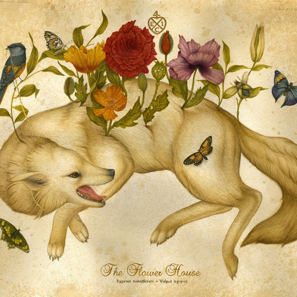 Fox Art Print - The Flower House - Limited Edition giclee print - Nature art, natural history