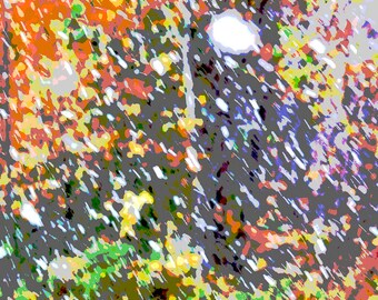 September Snow Print. Vermont, Autumn Colors, Lots of Light, Snow Motion, Free U.S. Shipping.