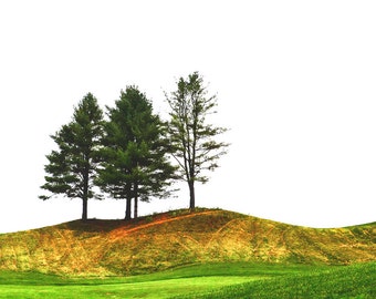 Three Pines, Golf Print, 18th Green, Country Club of Vermont, Walking Golf Courses,