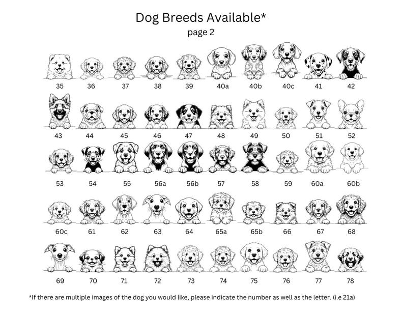 May include: Black and white line drawings of various dog breeds, numbered 35 through 78. The image is labeled "Dog Breeds Available* page 2".