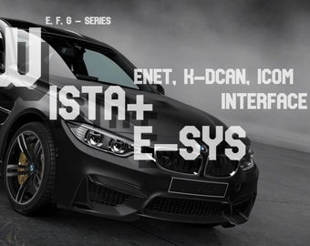 BMW, MINI, Ista+ V4.39.20 + E-Sys programming with programming sheets and info, English, German, Russian language