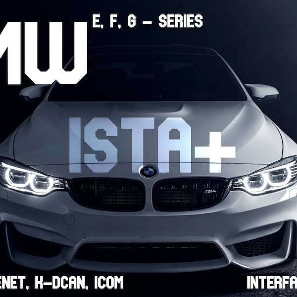 BMW, MINI, ISTA+ V4.39.20, full installation instruction, English, German, Russian language, assistance