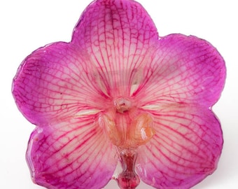 Purple Pink Vanda Orchid Pin