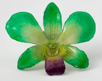 Green Purple Dendrobium Orchid Pin