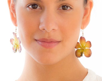 Purple Green Vanda Orchid Earrings