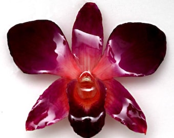 ORCHID PIN
