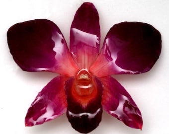 ORCHID HAIRCLIP