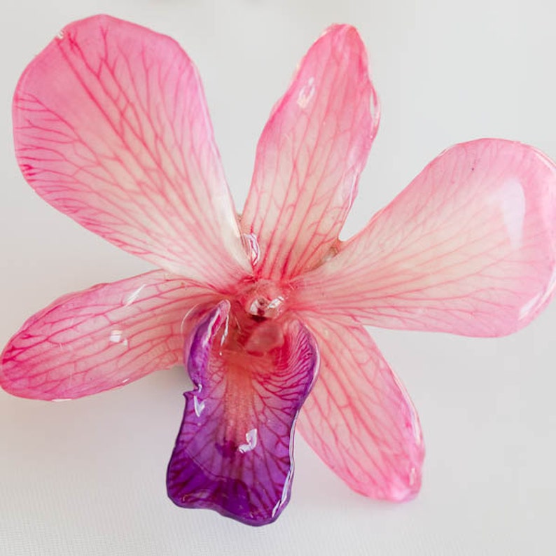 ORCHID PIN image 1