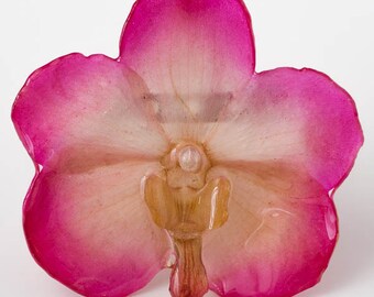 Pink White Vanda Orchid Pin