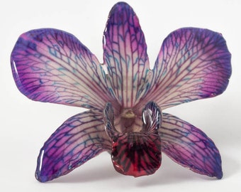 Purple Red Dendrobium Orchid Pin