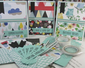 Make Your Own Card Kit Mixed Sentiments 6 Card Kit DIY Card Making Kit Adult Craft Kit Senior Craft Kit DIY Gift Craft Gift Owl Card Kit