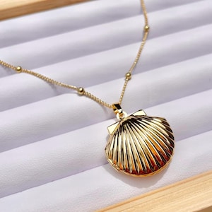 Puede incluir: Un collar dorado con un colgante de concha. El colgante, con un diseño acanalado, cuelga de una delicada cadena con pequeñas cuentas redondas. El collar se presenta sobre una superficie blanca.