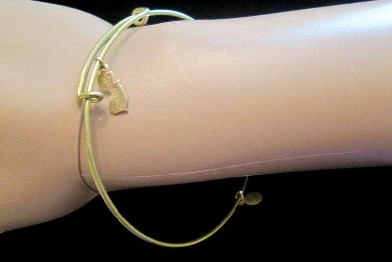 Teensy State Charm Brass Wire Bracelet Etsy