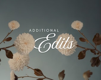Additional Brand Identity or Logo Edits