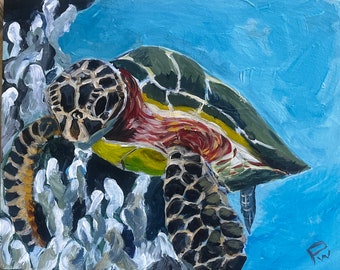 Hawaiian Sea Turtle, Maui.  8”x10” acrylic On cradled wood- en plein air - Original Acrylic Painting
