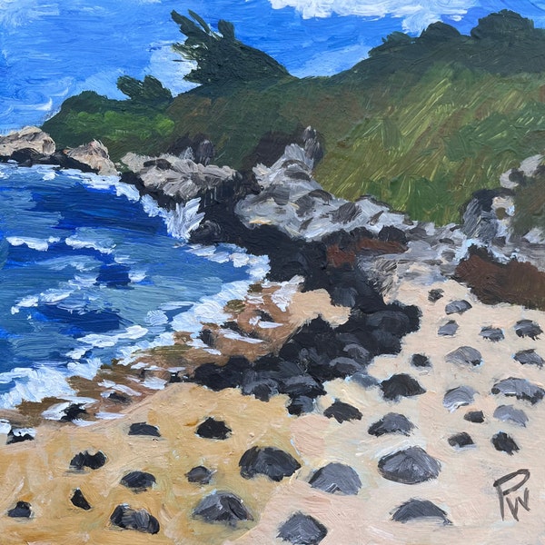 Ho’okipa Turtles, Maui.  8”x8” acrylic On cradled wood- en plein air - Original Landscape Acrylic Painting