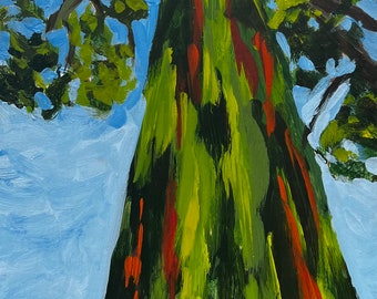 Rainbow Eucalyptus, Keanae Peninsula, Maui.  6”x12” acrylic On cradled wood- en plein air - Original Landscape Acrylic Painting