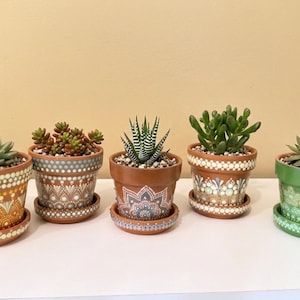 May include: Five terracotta pots with succulents. The pots are hand-painted with intricate patterns in shades of orange, white, and green. Each pot sits on a matching saucer. The plants include a variety of succulents.