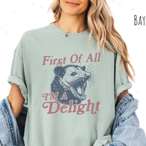 Allereerst I&#39;m A Delight shirt, grappig boos opossum T-shirt, sarcastisch dier shirt, retro humor shirt, cadeau voor haar, comfort kleuren T-shirt