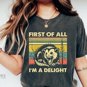 Allereerst shirt I&#39;m A Delight, grappig opossum-shirt, boze opossum cadeau, shirt sarcastische dieren, sweatshirt zelfliefde, troostkleuren