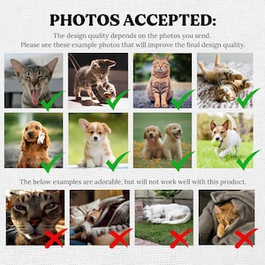May include: An informational graphic titled PHOTOS ACCEPTED with text instructions and twelve example photos of cats and dogs. The top eight images are marked with green checkmarks, while the bottom four images are marked with red X symbols.