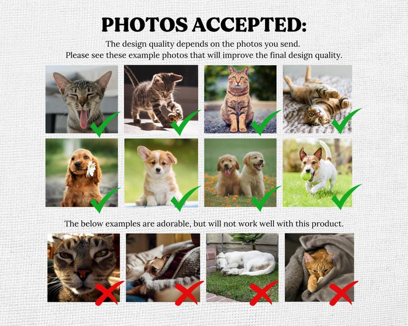May include: An informational graphic titled PHOTOS ACCEPTED with text instructions and twelve example photos of cats and dogs. The top eight images are marked with green checkmarks, while the bottom four images are marked with red X symbols.