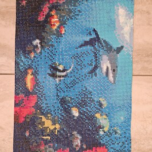 Shark