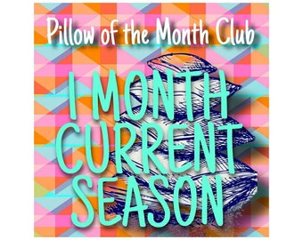 A Fun Seasonal Throw Pillow Curated Personally by Me