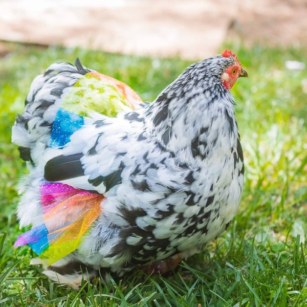 Rainbow Hen Party Skirts! Tutus for Chickens