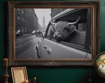 Highland Cows, New York, Funny Signs for Office, Travel Signs, Unique Gifts for Travellers, Funny Metal Signs, Retro Signs