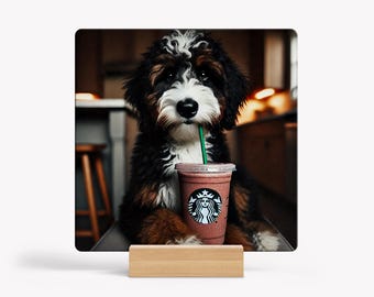 Bernedoodle Drinking Iced Coffee Sign, Funny Metal Sign, Home Decor, Gifts for Bernedoodle Lovers, Bernedoodles, Doodles, Funny Dog Signs