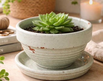 Vintage terracotta plantenbak met schotel kleine geribbelde pot rustieke boerderij binnen buiten plantenbak pot van verweerde klei