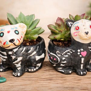 May include: Two ceramic cat-shaped planters, painted black with white skeleton details. The cat faces are decorated with Day of the Dead sugar skull designs. Each planter holds a green succulent plant, creating a unique decorative item.