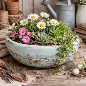 Könnte beinhalten: Ein hellblauer, verwitterter Keramiktopf gefüllt mit Gänseblümchen, rosa Blüten und Sukkulenten. Der Topf steht auf einem rustikalen Holztisch mit Gartengeräten und einer Gießkanne im Hintergrund. Das Thema ist Gartenarbeit und Heimdekoration.