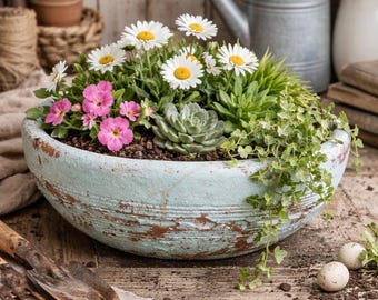 Vintage turkoois terracotta plantenbak – succulente pot van noodlijdende boerderij