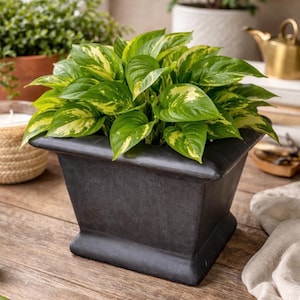 Vintage Black Footed Planter Architectural Matte Ceramic Square Cachepot