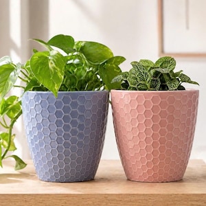 May include: Two ceramic planters, one periwinkle and one blush pink, each with a honeycomb pattern. The planters hold green leafy plants and sit on a wooden surface. The background is a neutral wall.