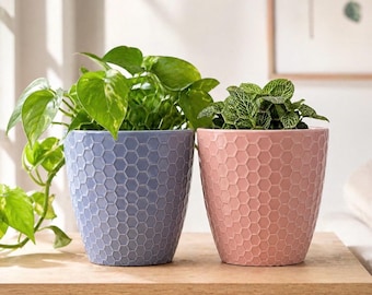 Juego de 2 macetas de cerámica, macetas pequeñas para plantas de interior, color rosa pálido texturizado.