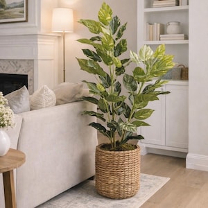 Puede incluir: Una planta artificial alta con hojas verdes y blancas variegadas. La planta está en una cesta cilíndrica tejida. La escena es un salón bien iluminado con una paleta de colores neutros, incluyendo un sofá y una alfombra.