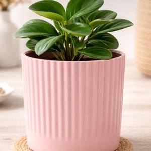 Puede incluir: Una taza de cerámica blanca con un asa negra y el texto "But First, Coffee" en negrita negra. La taza se encuentra sobre un fondo borroso, sugiriendo un ambiente acogedor.