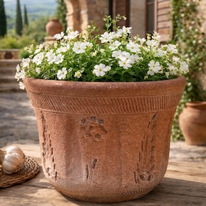 Puede incluir: Una maceta grande de color terracota llena de flores blancas y follaje verde. La maceta tiene una superficie texturizada con diseños grabados. La maceta está sobre una mesa de madera, con una cesta tejida y bulbos de ajo en primer plano.