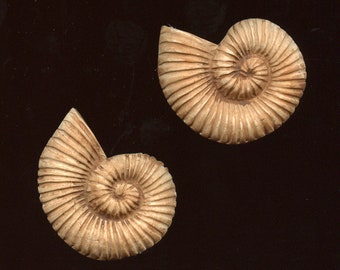 Shell Pair,  Textured  Polymer Clay SHLC 2