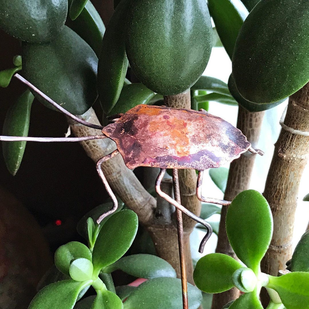 Copper Stink Bug Plant Stake, Shield Bug Garden Decoration - Etsy