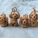 see more listings in the Dogs section